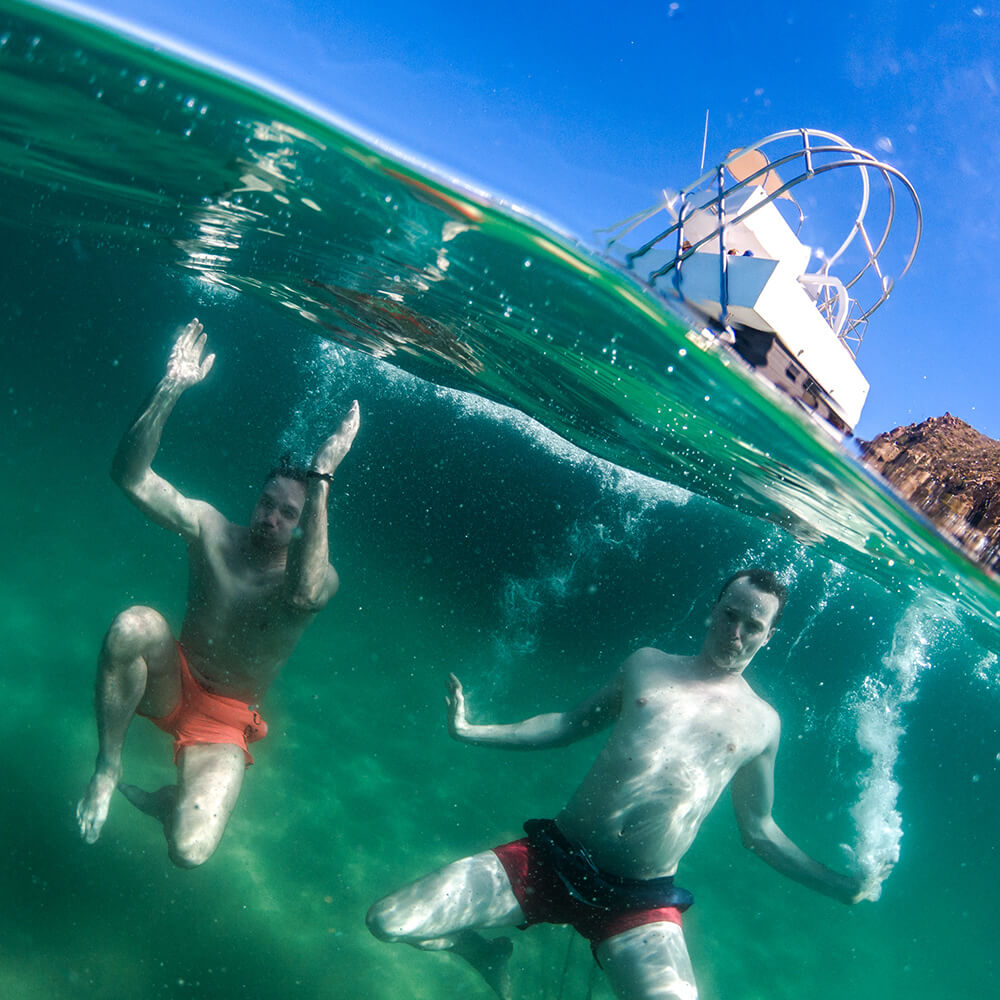 gallery-pelican-cabo-experiences-swimming