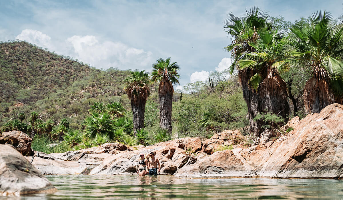 Desert Oasis Hike | Cabo San Lucas Hiking