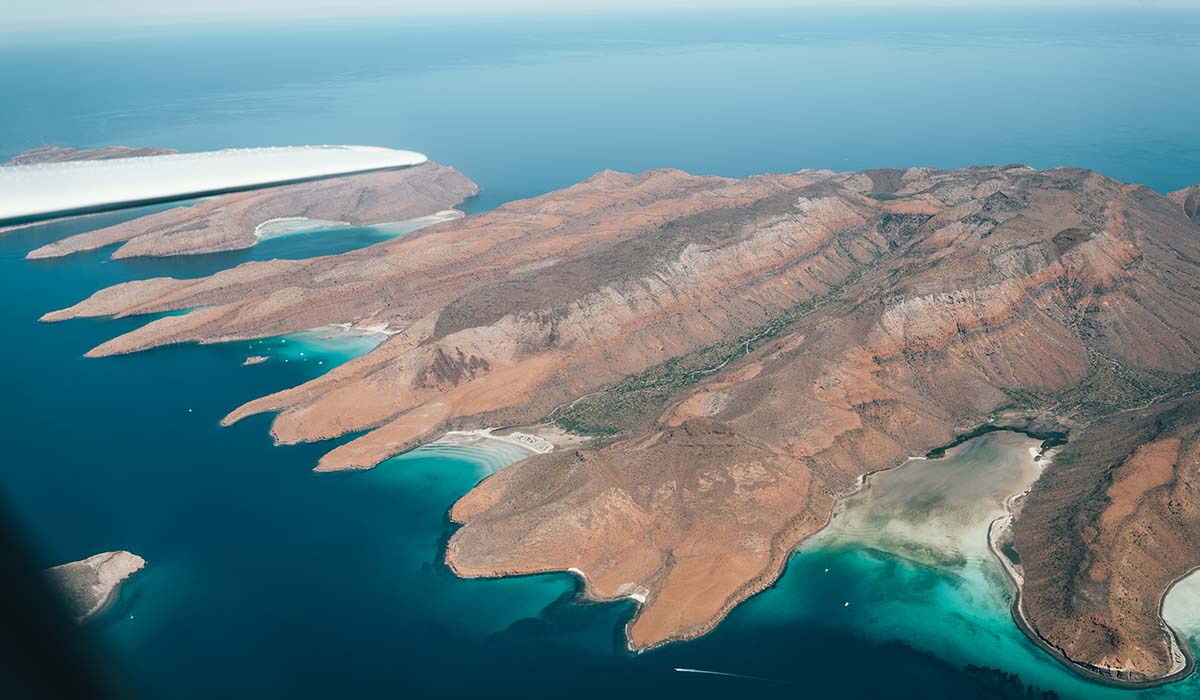 Grey Whale Expedition