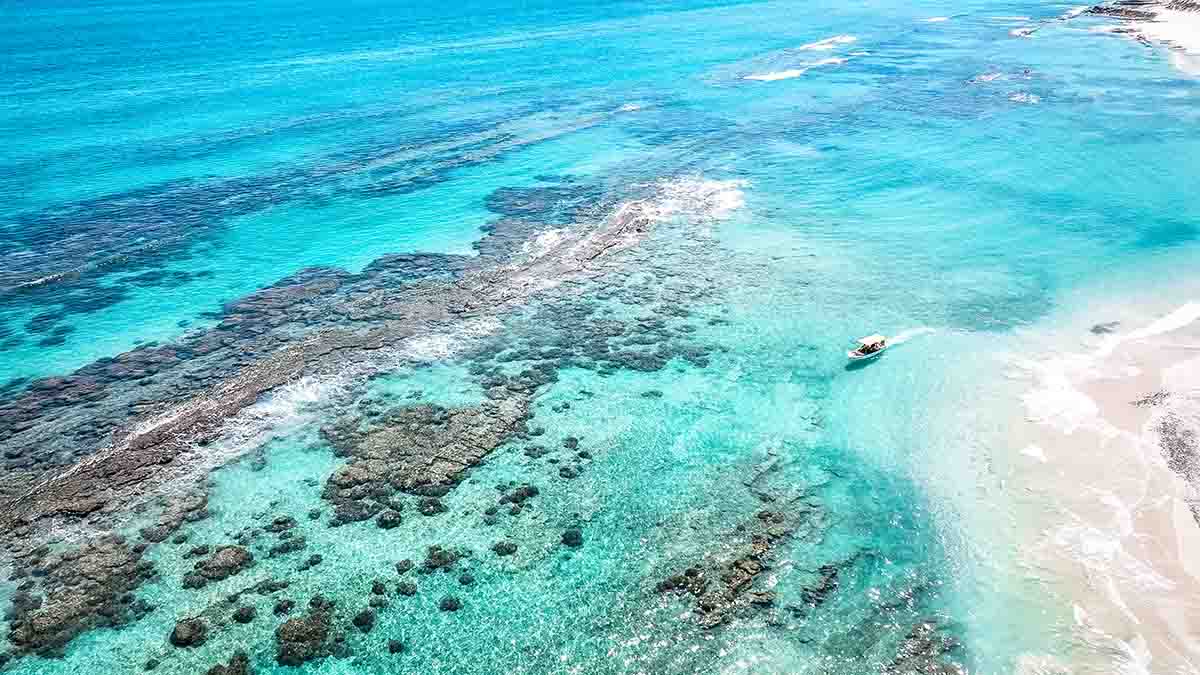 Cabo Pulmo snorkeling tour